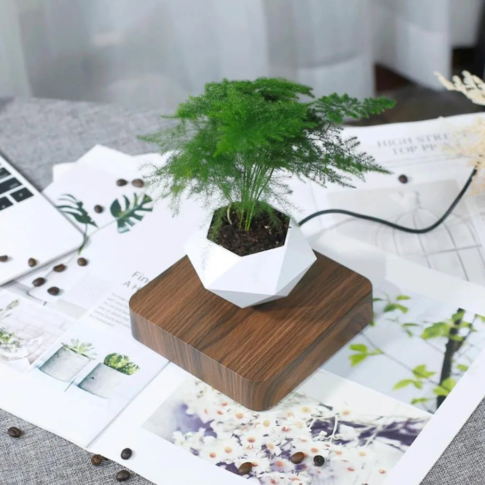 Magnetic Levitating Air Bonsai Pot – Rotating Floating Planter