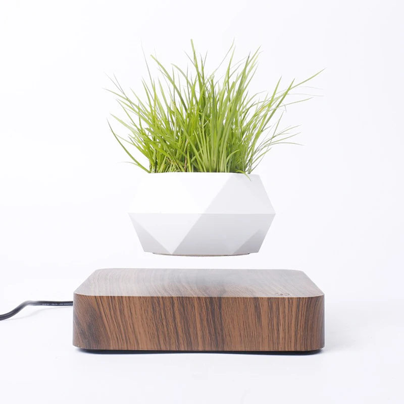 Magnetic Levitating Air Bonsai Pot – Rotating Floating Planter