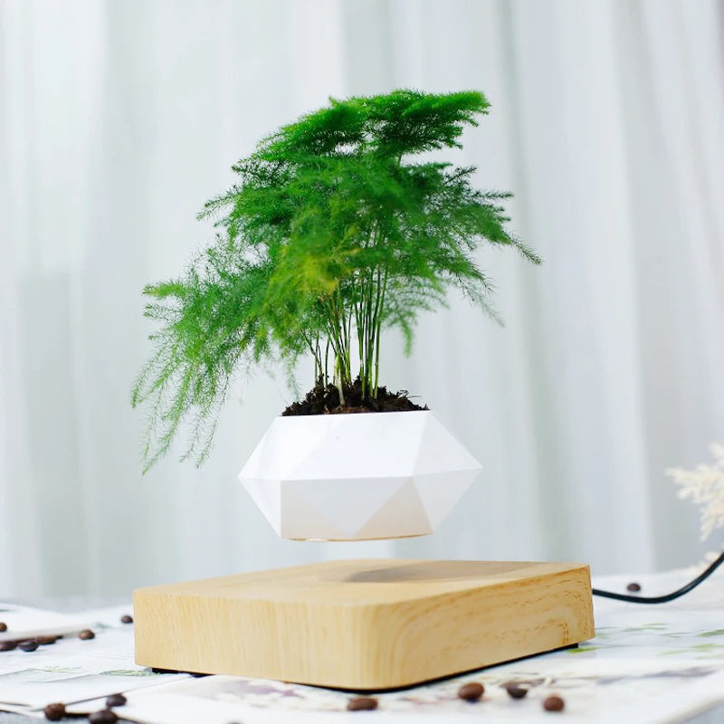 Magnetic Levitating Air Bonsai Pot – Rotating Floating Planter