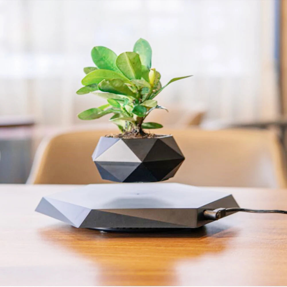 Magnetic Levitating Air Bonsai Pot – Rotating Floating Planter