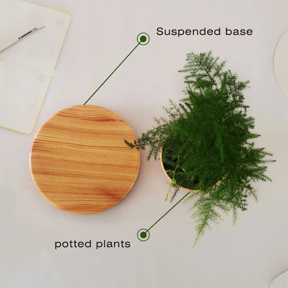 Magnetic Levitating Air Bonsai Pot – Rotating Floating Planter
