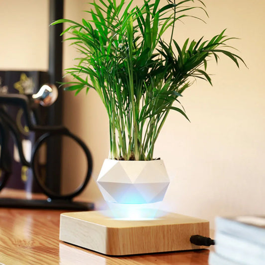 Magnetic Levitating Air Bonsai Pot – Rotating Floating Planter