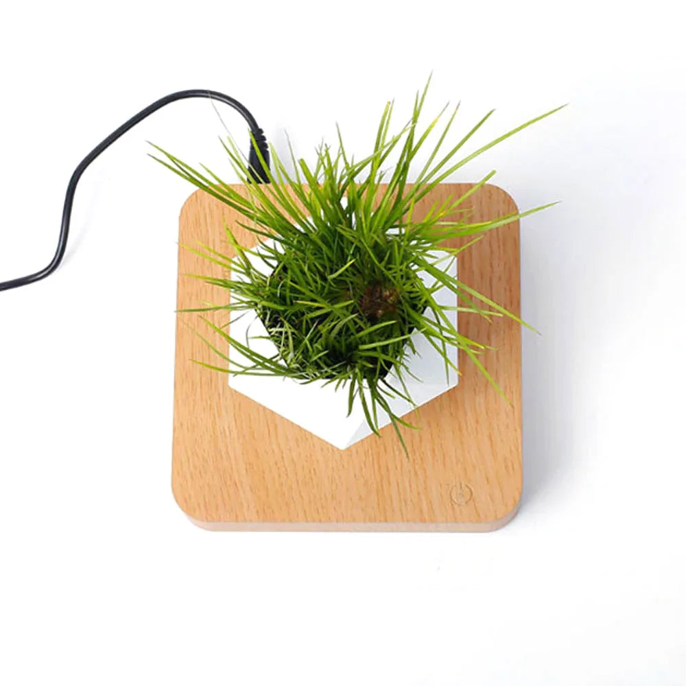 Magnetic Levitating Air Bonsai Pot – Rotating Floating Planter